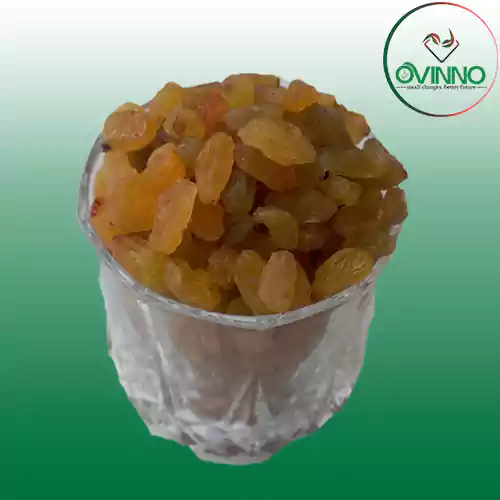 Golden Raisin (কিসমিস) 