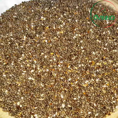 Chiaseed (চিয়াসীড)