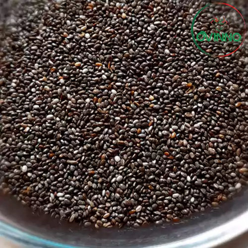 Chiaseed (চিয়াসীড)