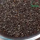 Chiaseed (চিয়াসীড)