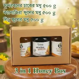 3 in 1 Honey Box