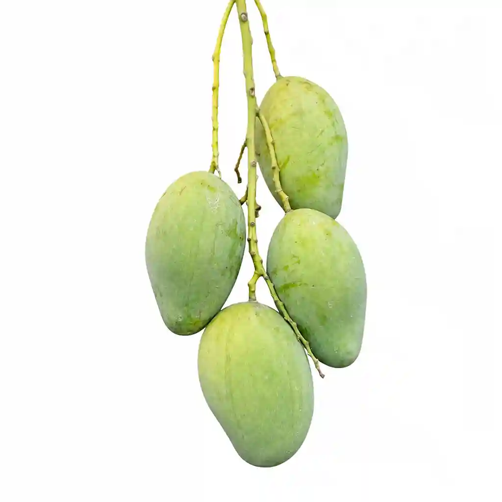 Amrapali Mango (আম্রপালি আম)