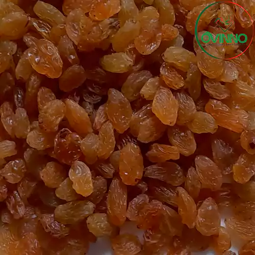 Golden Raisin (কিসমিস) 