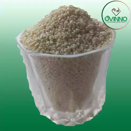 Sesame (তিল) 