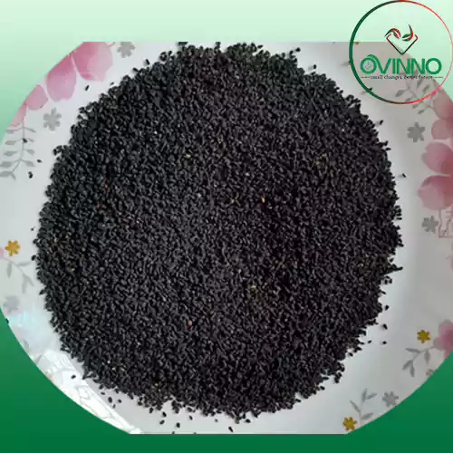 Black Cumin (কালো জিরা)